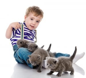 kid_cat