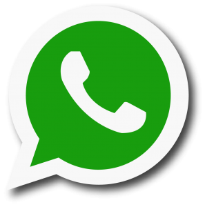 whatsapp-logo-icone-1