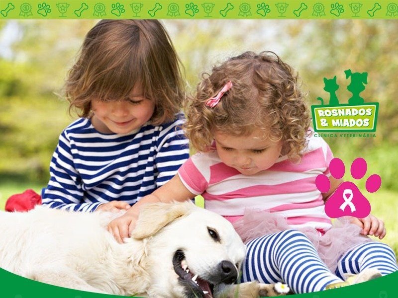 whatsapp-image-2016-10-15-at-10-20-12-am